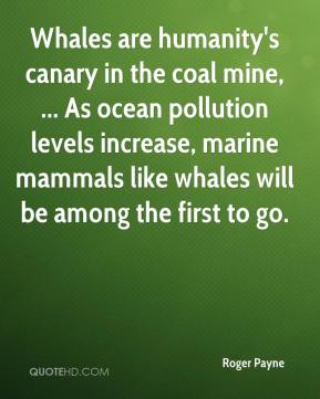 roger-payne-quote-whales-are-humanitys-canary-in-the-coal-mine-as-ocea